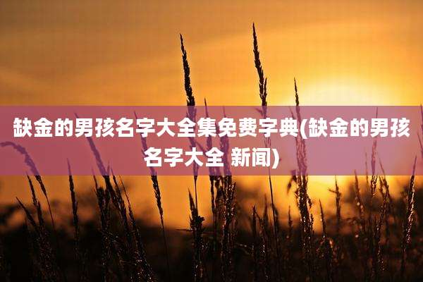 缺金的男孩名字大全集免费字典(缺金的男孩名字大全 新闻)