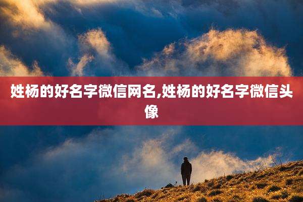 姓杨的好名字微信网名,姓杨的好名字微信头像