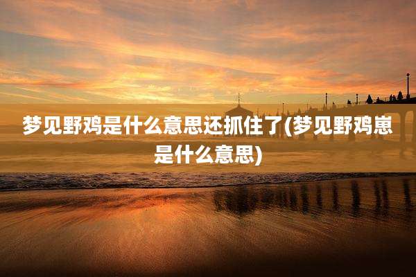梦见野鸡是什么意思还抓住了(梦见野鸡崽是什么意思)