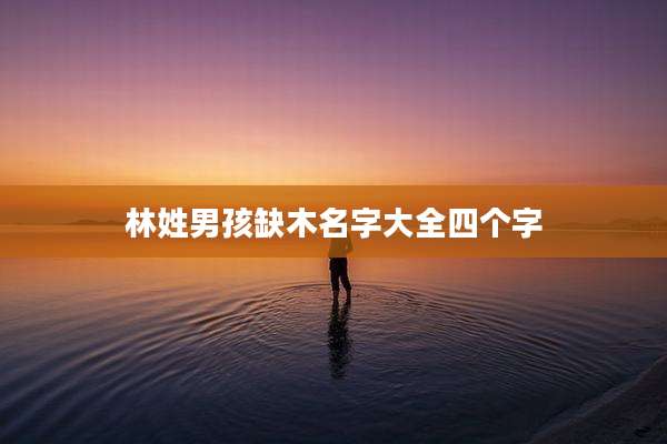 林姓男孩缺木名字大全四个字