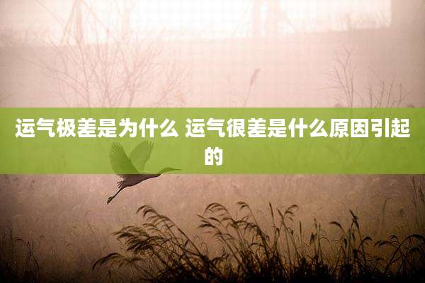 运气极差是为什么 运气很差是什么原因引起的