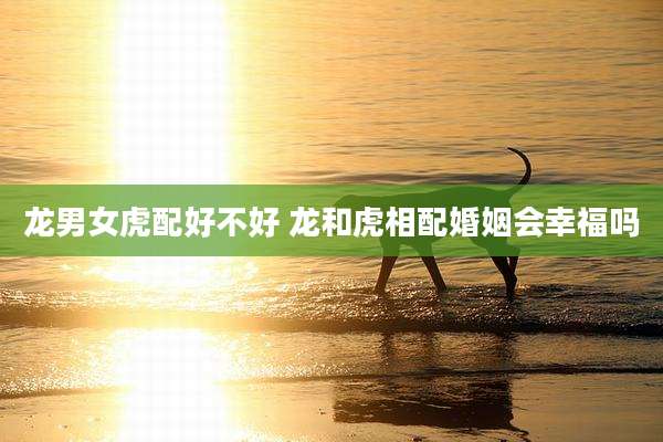 龙男女虎配好不好 龙和虎相配婚姻会幸福吗