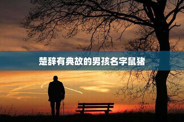 楚辞有典故的男孩名字鼠猪