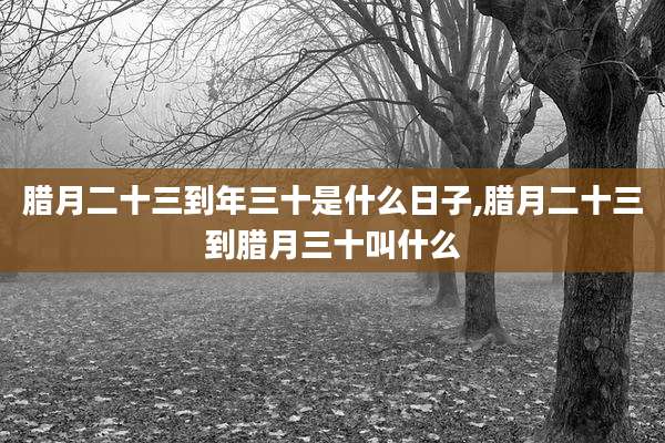 腊月二十三到年三十是什么日子,腊月二十三到腊月三十叫什么