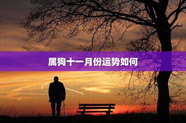 属狗十一月份运势如何