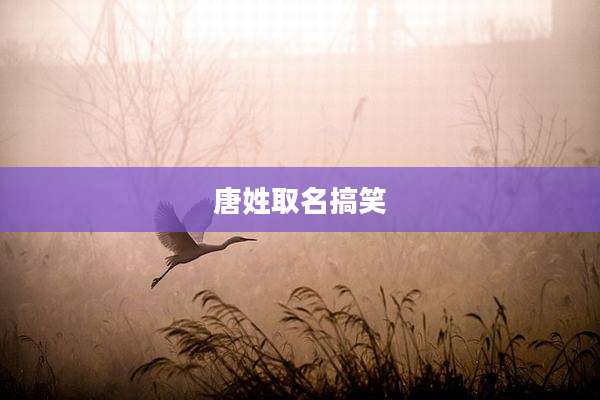 唐姓取名搞笑