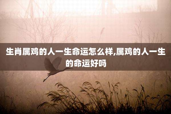 生肖属鸡的人一生命运怎么样,属鸡的人一生的命运好吗