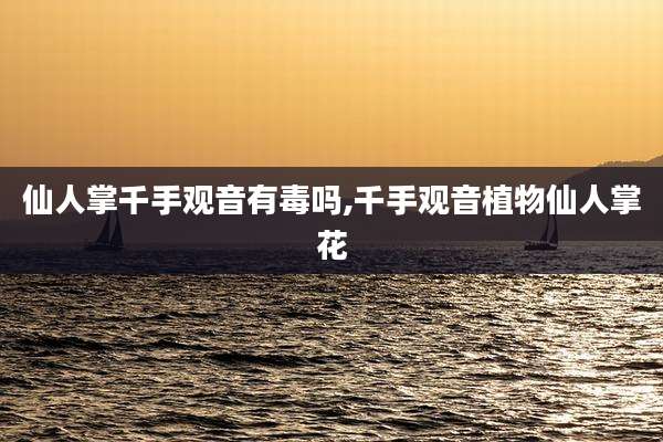 仙人掌千手观音有毒吗,千手观音植物仙人掌花