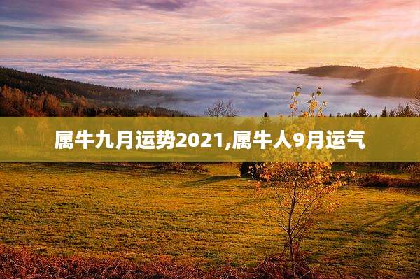 属牛九月运势2021,属牛人9月运气