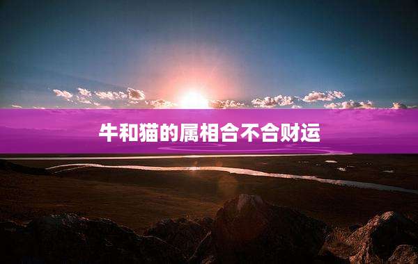 牛和猫的属相合不合财运