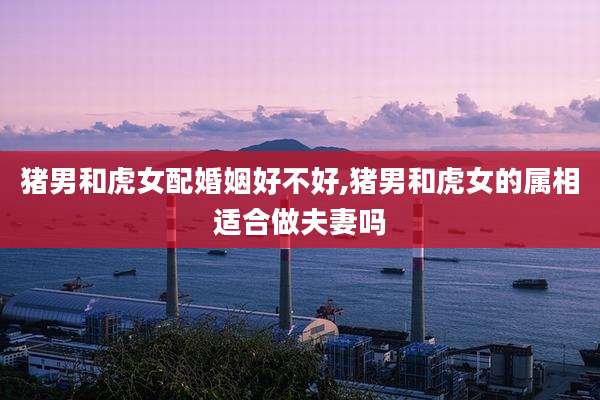 猪男和虎女配婚姻好不好,猪男和虎女的属相适合做夫妻吗