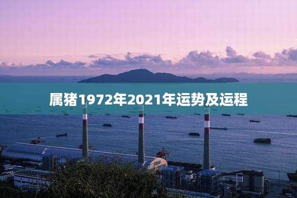 属猪1972年2021年运势及运程