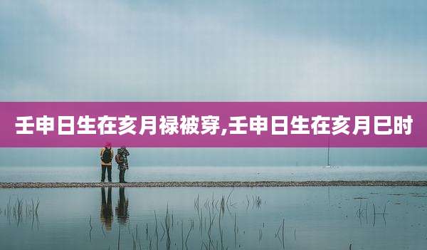 壬申日生在亥月禄被穿,壬申日生在亥月巳时