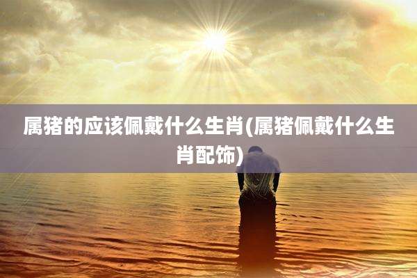 属猪的应该佩戴什么生肖(属猪佩戴什么生肖配饰)