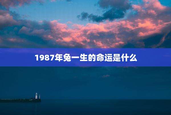 1987年兔一生的命运是什么
