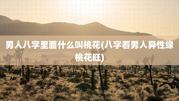 男人八字里面什么叫桃花(八字看男人异性缘桃花旺)