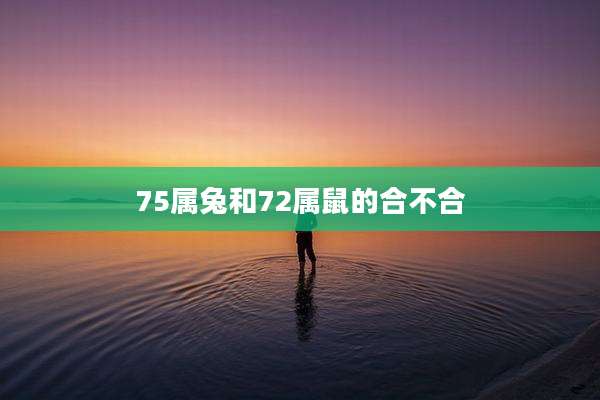 75属兔和72属鼠的合不合
