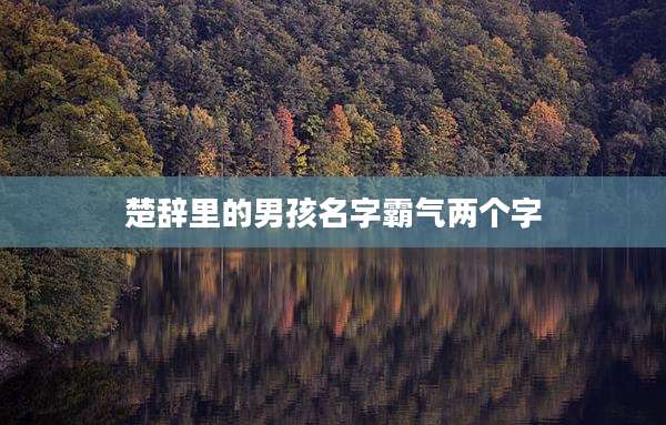 楚辞里的男孩名字霸气两个字