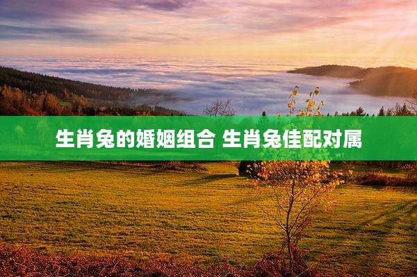 生肖兔的婚姻组合 生肖兔佳配对属