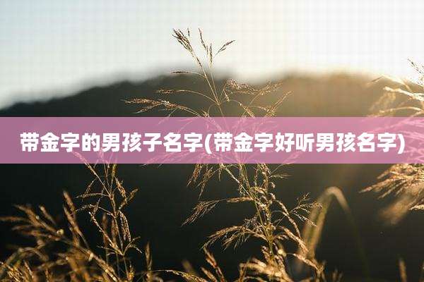 带金字的男孩子名字(带金字好听男孩名字)