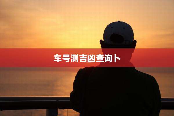 车号测吉凶查询卜