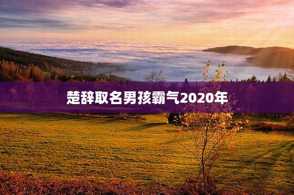 楚辞取名男孩霸气2020年