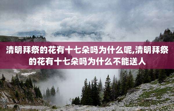 清明拜祭的花有十七朵吗为什么呢,清明拜祭的花有十七朵吗为什么不能送人