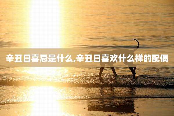 辛丑日喜忌是什么,辛丑日喜欢什么样的配偶