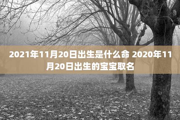 2021年11月20日出生是什么命 2020年11月20日出生的宝宝取名