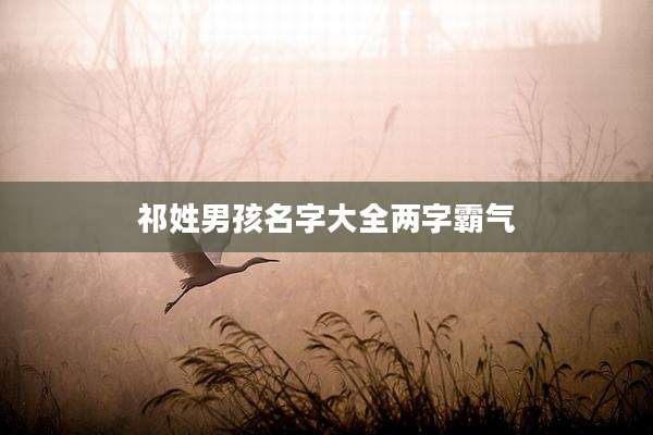 祁姓男孩名字大全两字霸气