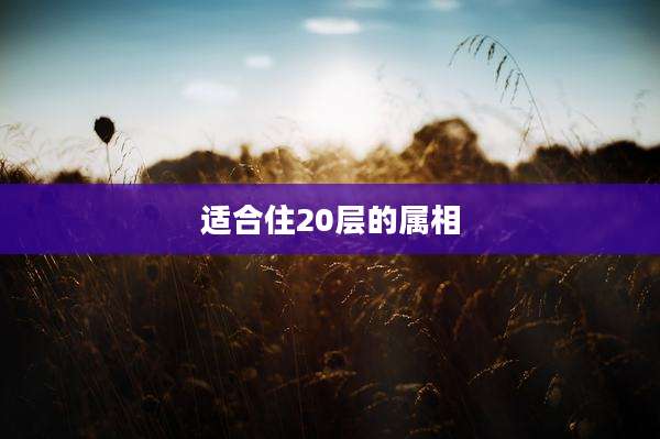 适合住20层的属相
