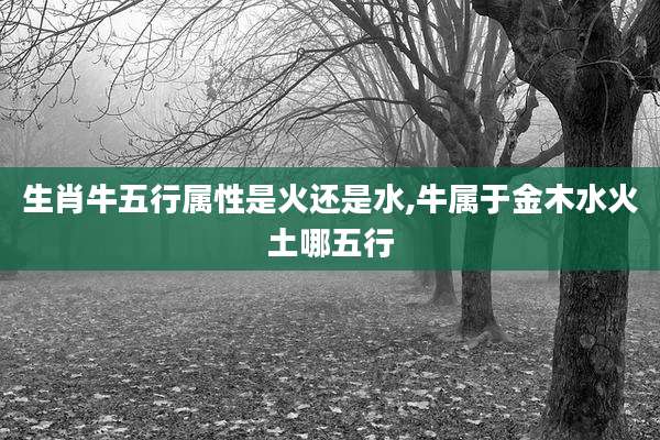 生肖牛五行属性是火还是水,牛属于金木水火土哪五行