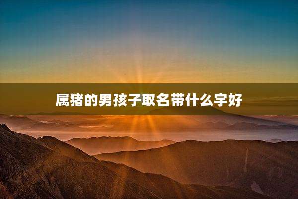 属猪的男孩子取名带什么字好