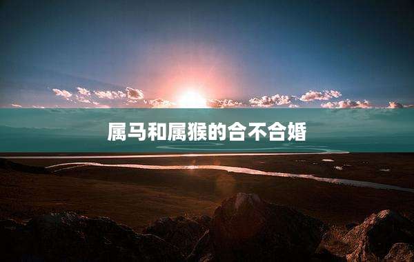 属马和属猴的合不合婚