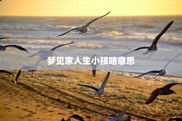 梦见家人生小孩啥意思