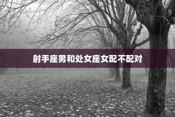 射手座男和处女座女配不配对