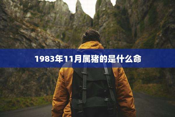 1983年11月属猪的是什么命