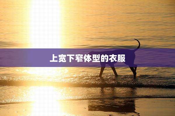 上宽下窄体型的衣服