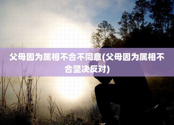 父母因为属相不合不同意(父母因为属相不合坚决反对)