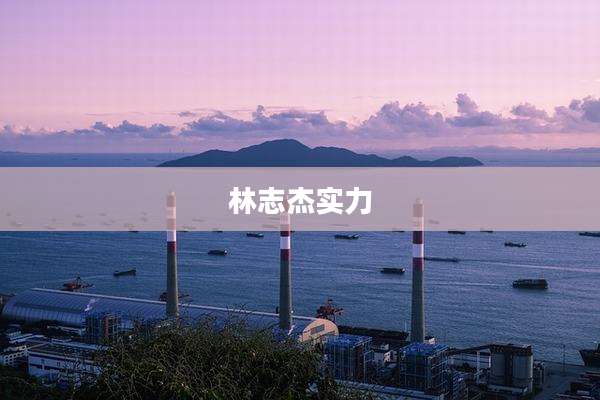 林志杰实力