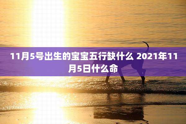 11月5号出生的宝宝五行缺什么 2021年11月5日什么命