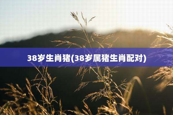 38岁生肖猪(38岁属猪生肖配对)