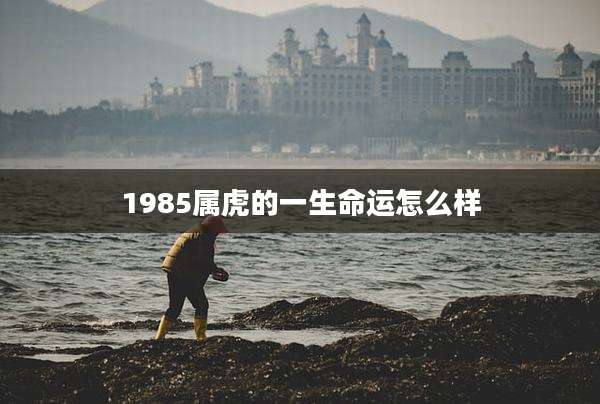 1985属虎的一生命运怎么样