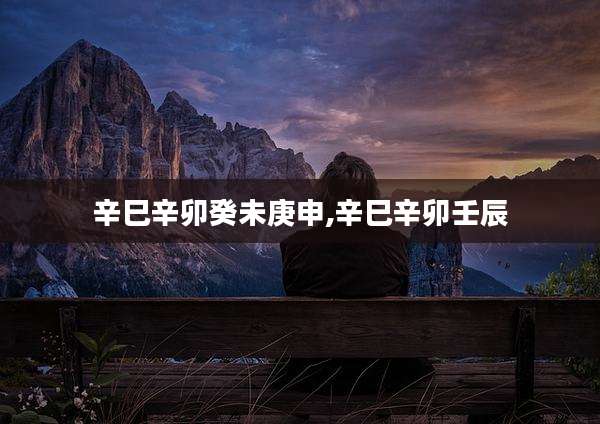 辛巳辛卯癸未庚申,辛巳辛卯壬辰