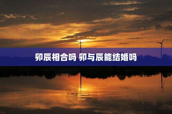卯辰相合吗 卯与辰能结婚吗