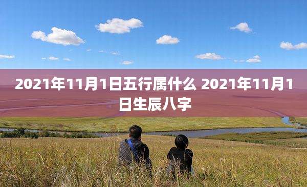 2021年11月1日五行属什么 2021年11月1日生辰八字
