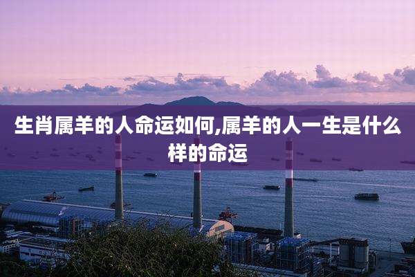 生肖属羊的人命运如何,属羊的人一生是什么样的命运