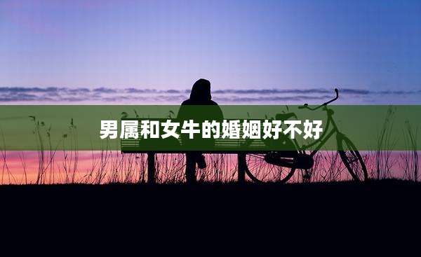 男属和女牛的婚姻好不好