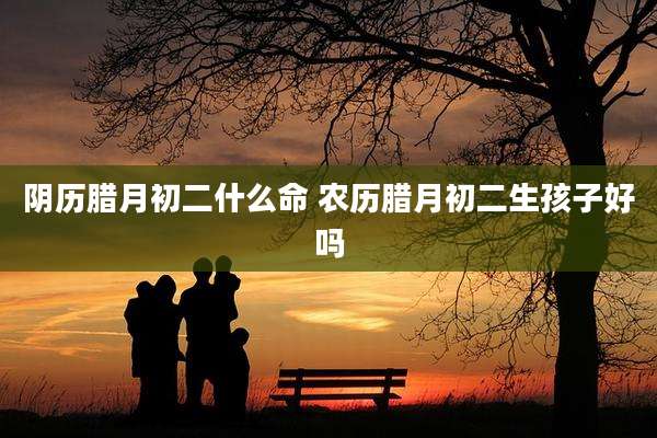 阴历腊月初二什么命 农历腊月初二生孩子好吗