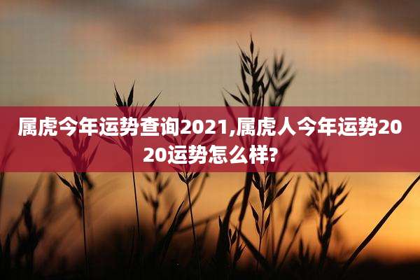 属虎今年运势查询2021,属虎人今年运势2020运势怎么样?